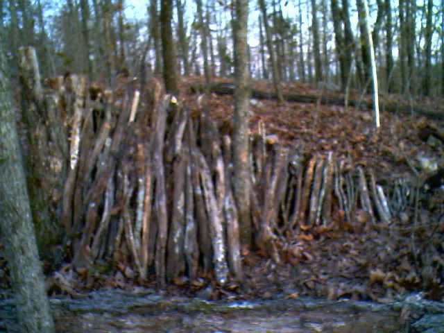 IMG00955.jpg