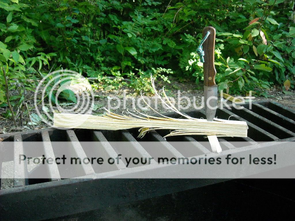 necker.jpg