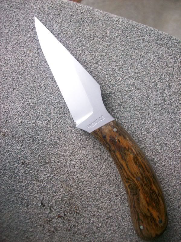 sharpfinger008.jpg
