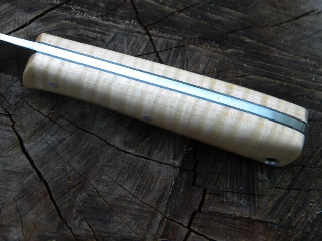 DSCN1269.jpg