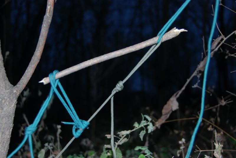 DSC_4361.jpg