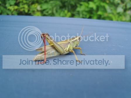 PICT0476.jpg