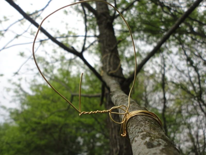 bushclass085-1.jpg