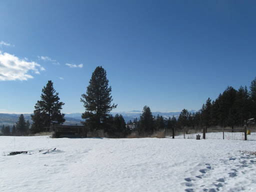 IMG_5871.JPG