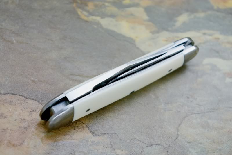 ivory1.jpg
