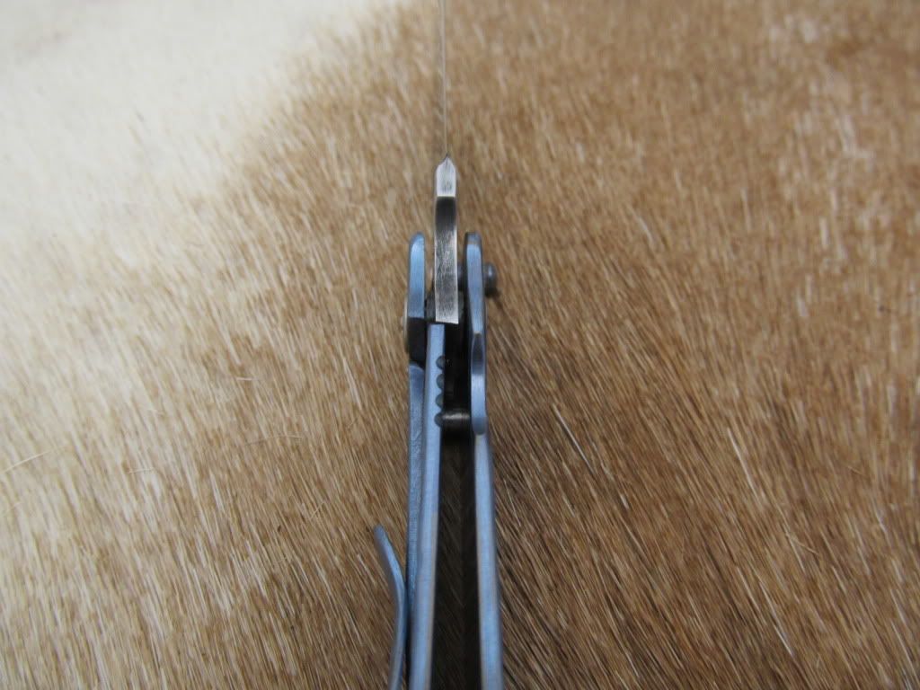 2-framelocks018.jpg