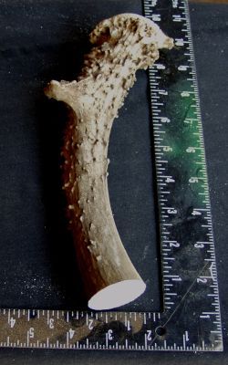 590b.jpg