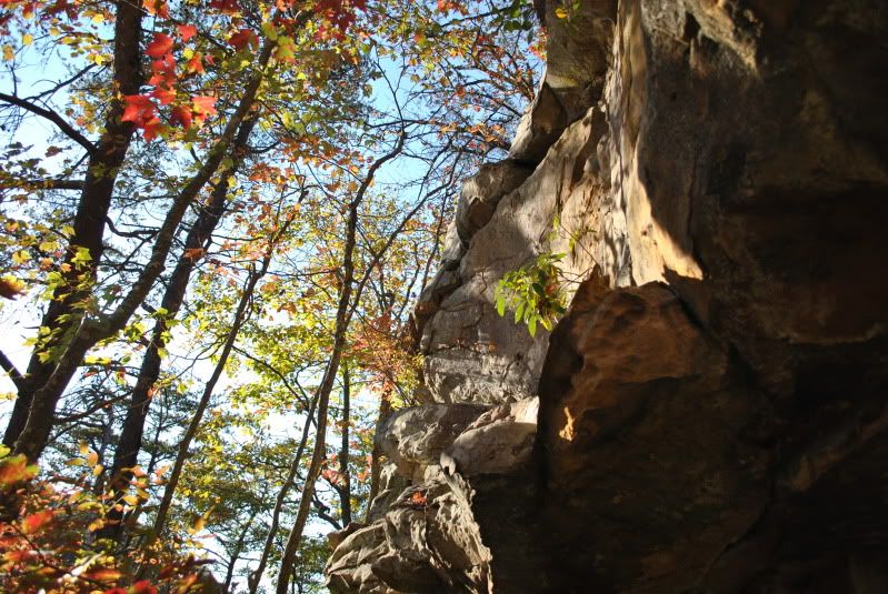 DSC_6790.jpg