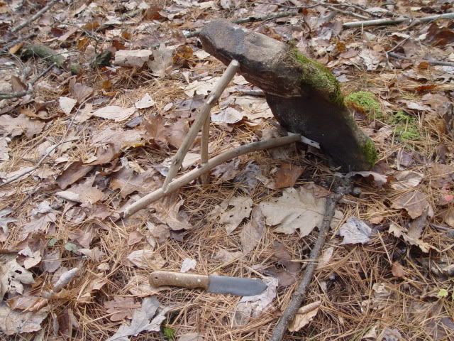 DSC03617.jpg