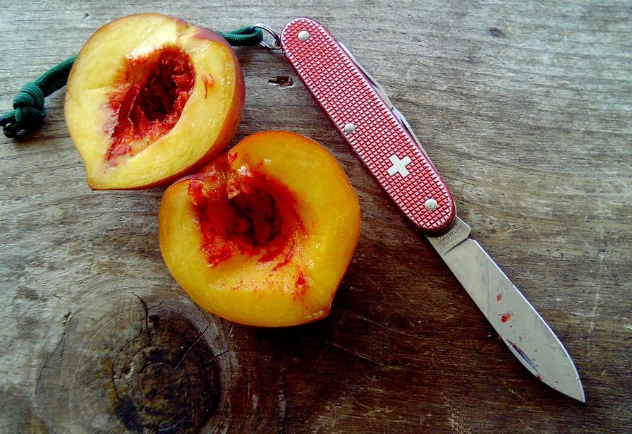 PeachofaPioneer_zpsebf8c7f8.jpg