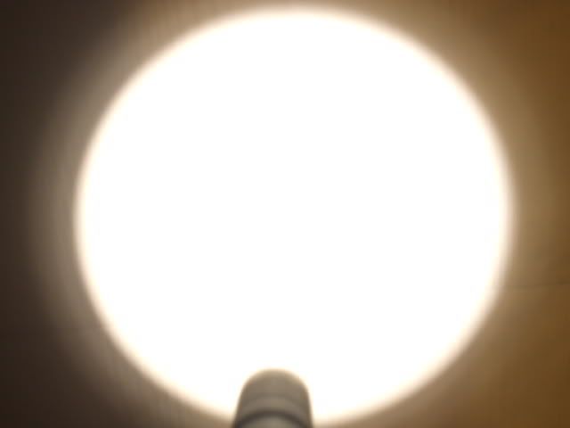 Seanspictures415-1.jpg