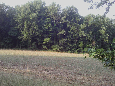 IMAG0156.JPG