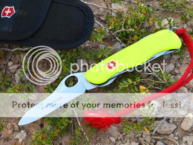 IMG_1650.jpg