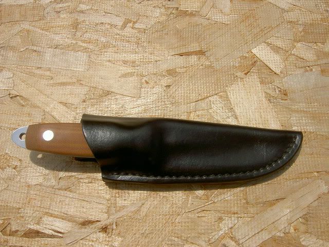 PICT5283.jpg