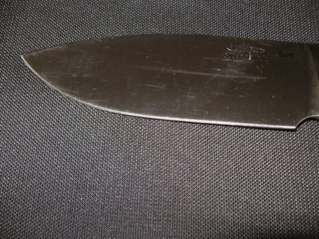 ASHLEx2004.jpg