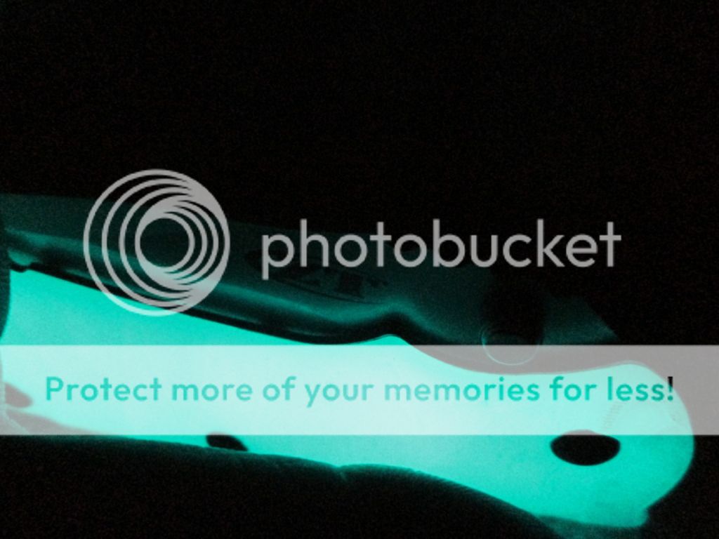 newcamera013.jpg