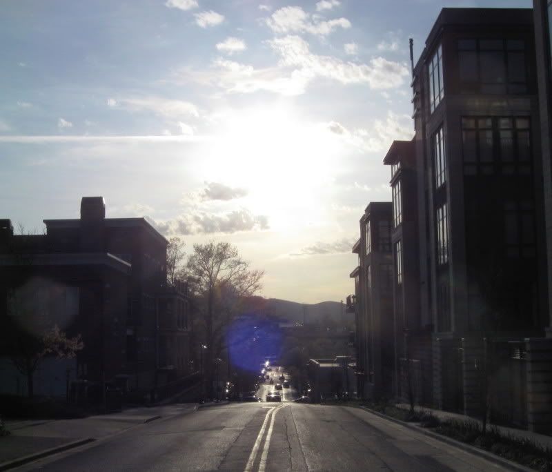 IMG_3334.jpg