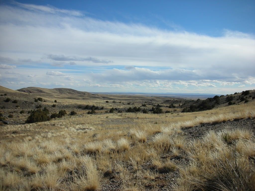 DSCN0846.jpg