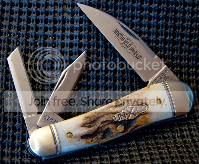 IMG_0726.jpg~original