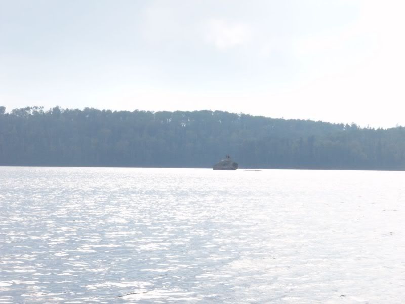 P1010069-1.jpg