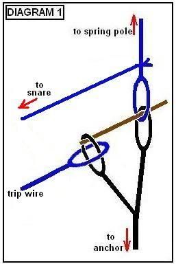 withtripwire.jpg