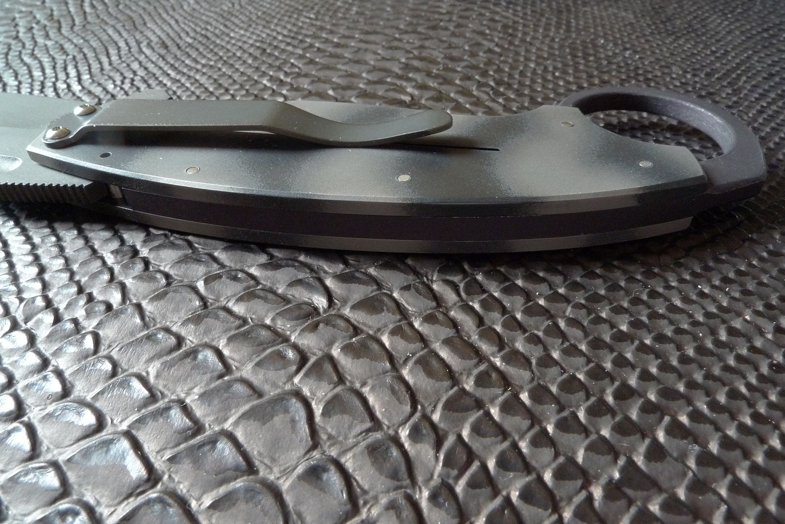 P1190330.jpg