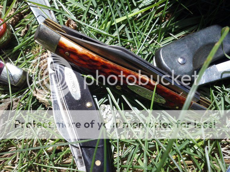 photobucket-3041-1341163493724.jpg