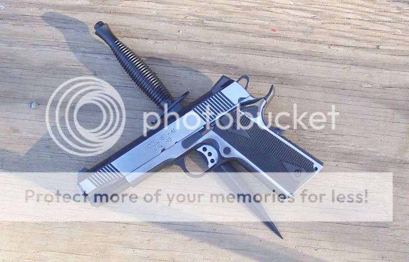 SA1911wFSc.jpg
