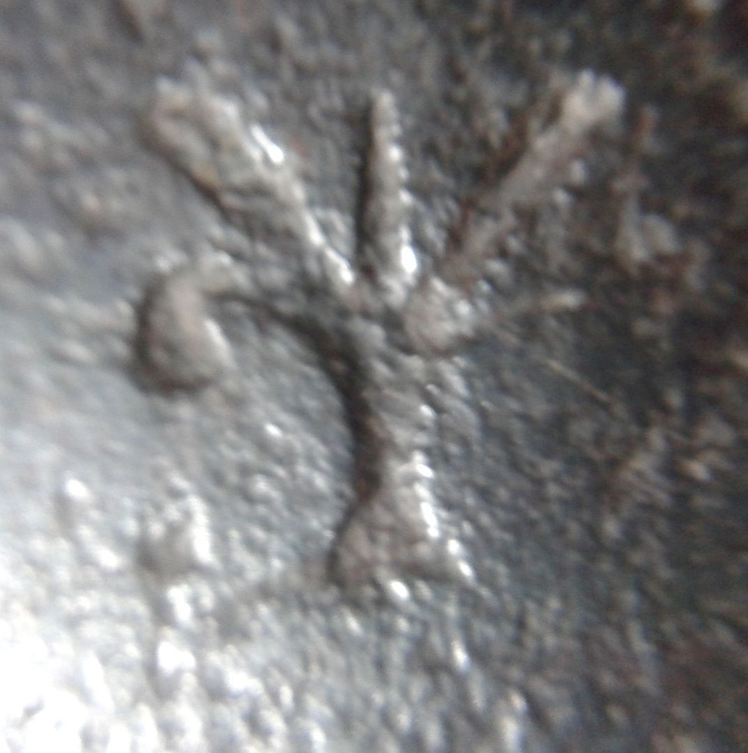 naval%20hanger%20mark%20macro.jpg