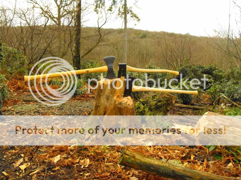 Felling_01.jpg
