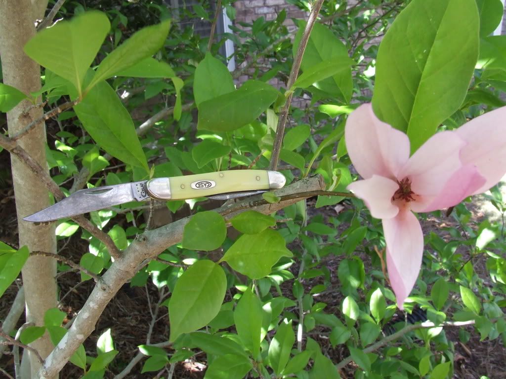 DSCF2583.jpg