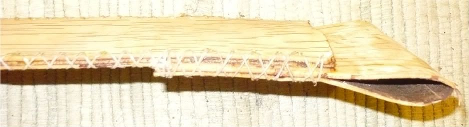 P1020107.jpg