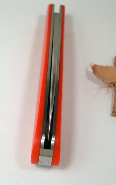 DSCN2229.jpg