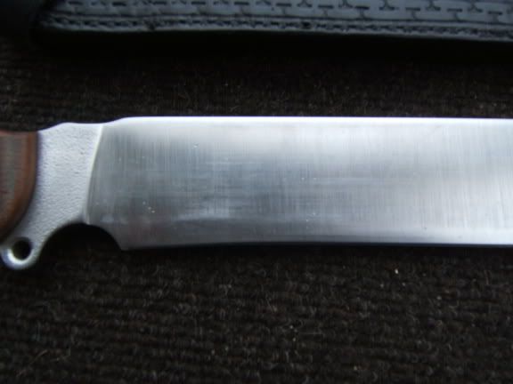 DSCF2087.jpg