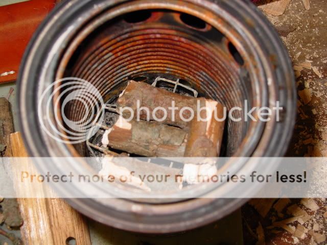 KosterSurvivor041.jpg