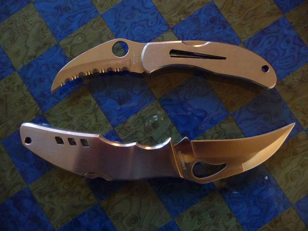 SpydercoByrd.jpg