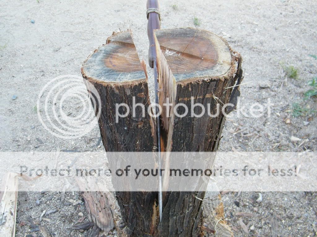 DSCF2839.jpg