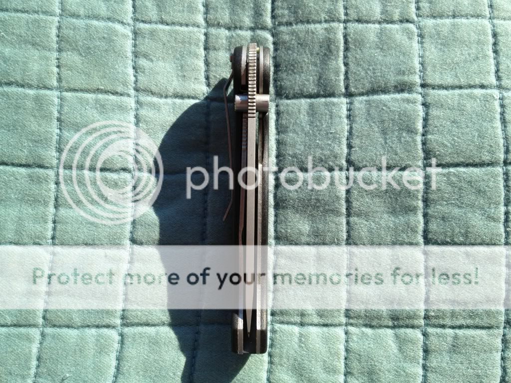 IMG_0141.jpg