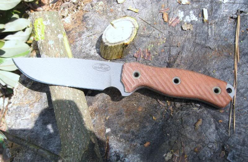 S5MOD017.jpg