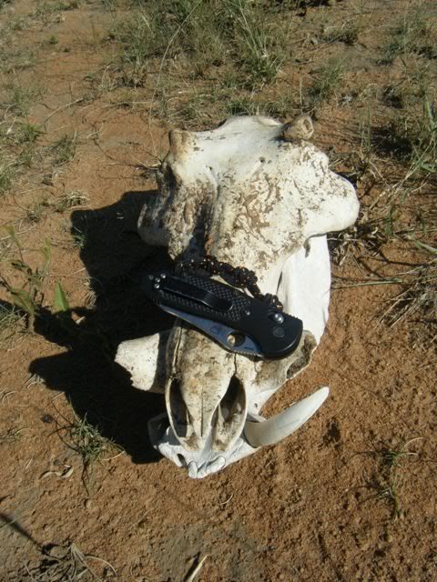 DSCF2099.jpg