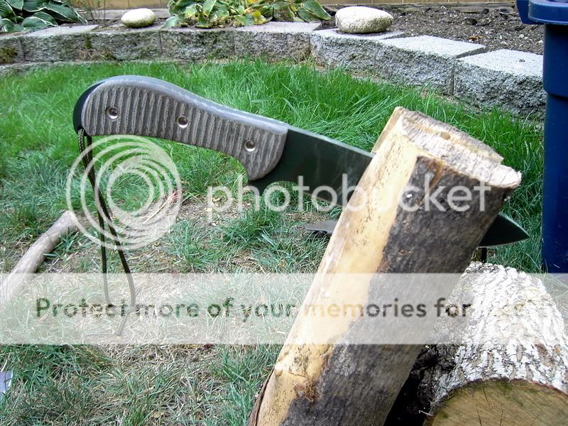 PICT5139.jpg