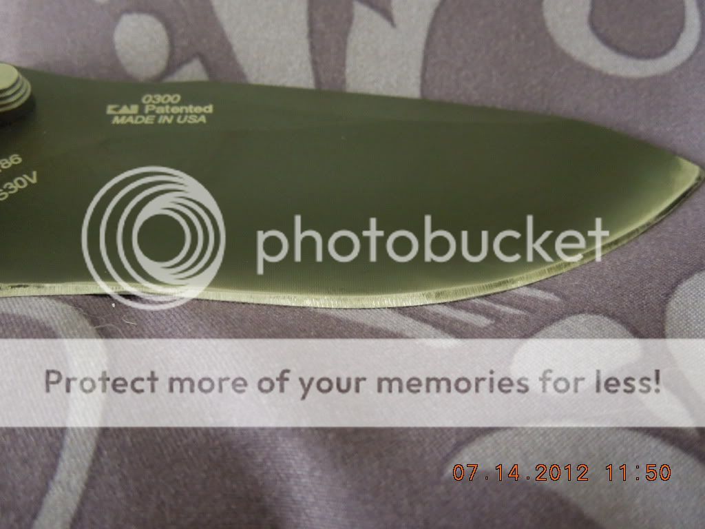 DSCN0594.jpg