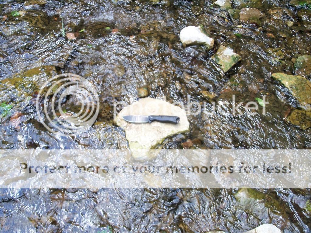 100_5281.jpg