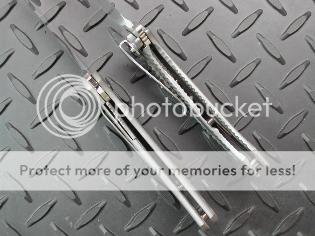 DSCN5279.jpg