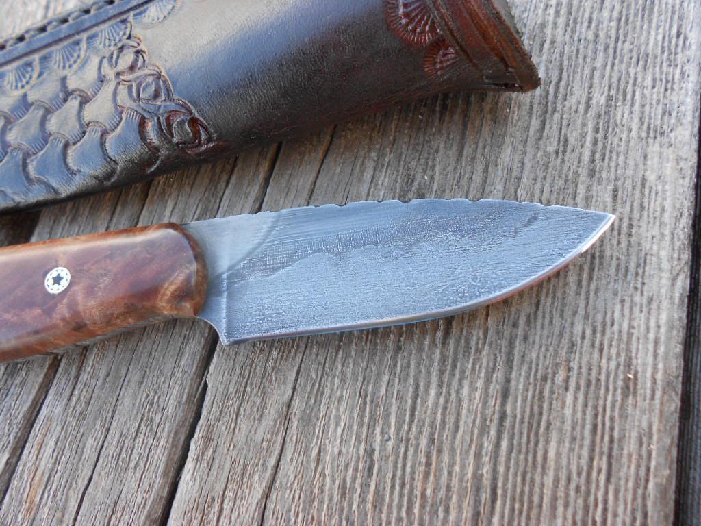 Mapleedc013.jpg