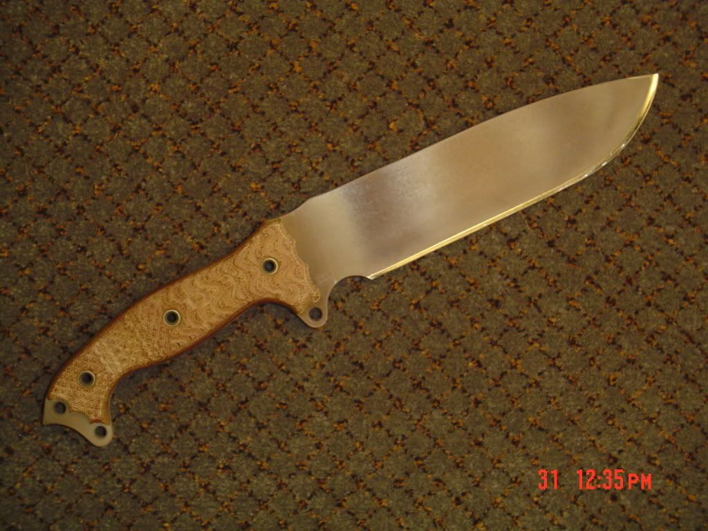 BusseFSH007.jpg