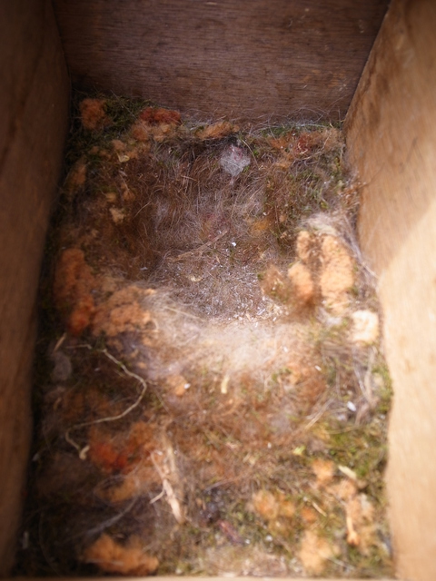 2012.05.03.R0012607.JPG