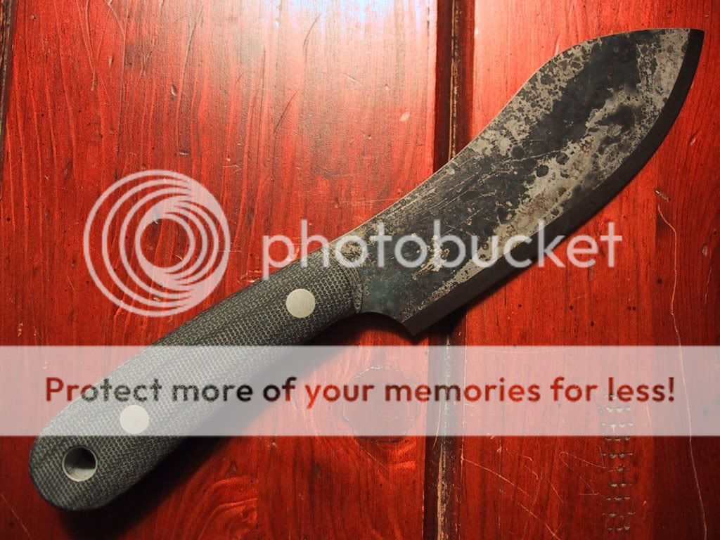 image1-47.jpg
