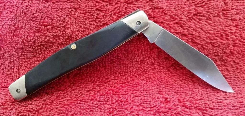 Buck301-Singleblade2.jpg