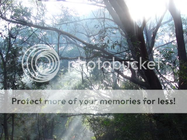 Camping2010005.jpg